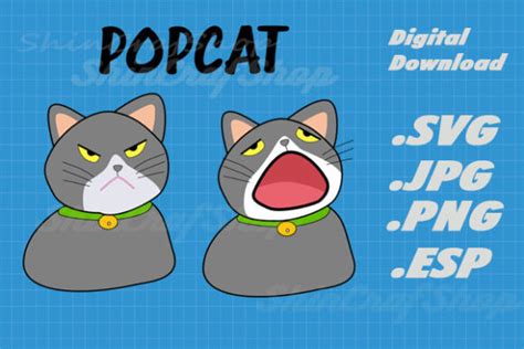 Public Sale, Popcat (POPCAT), Block reward
